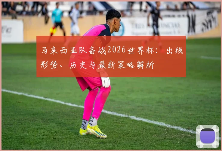 马来西亚队备战2026世界杯:出线形势、历史与最新策略解析