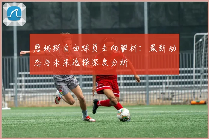 詹姆斯自由球员去向解析：最新动态与未来选择深度分析